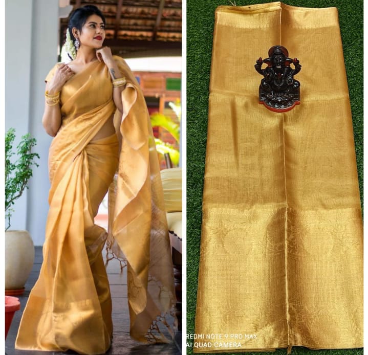 SAMVITA Tissue Silk Saree with Blouse Piece